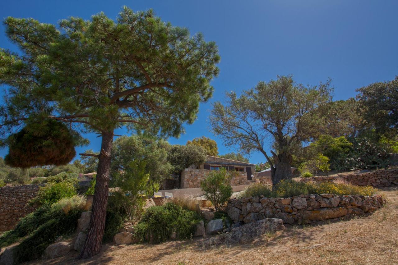 Villa bodri, maison en pierre avec vue mer et piscine chauffée LʼÎle-Rousse Exterior foto