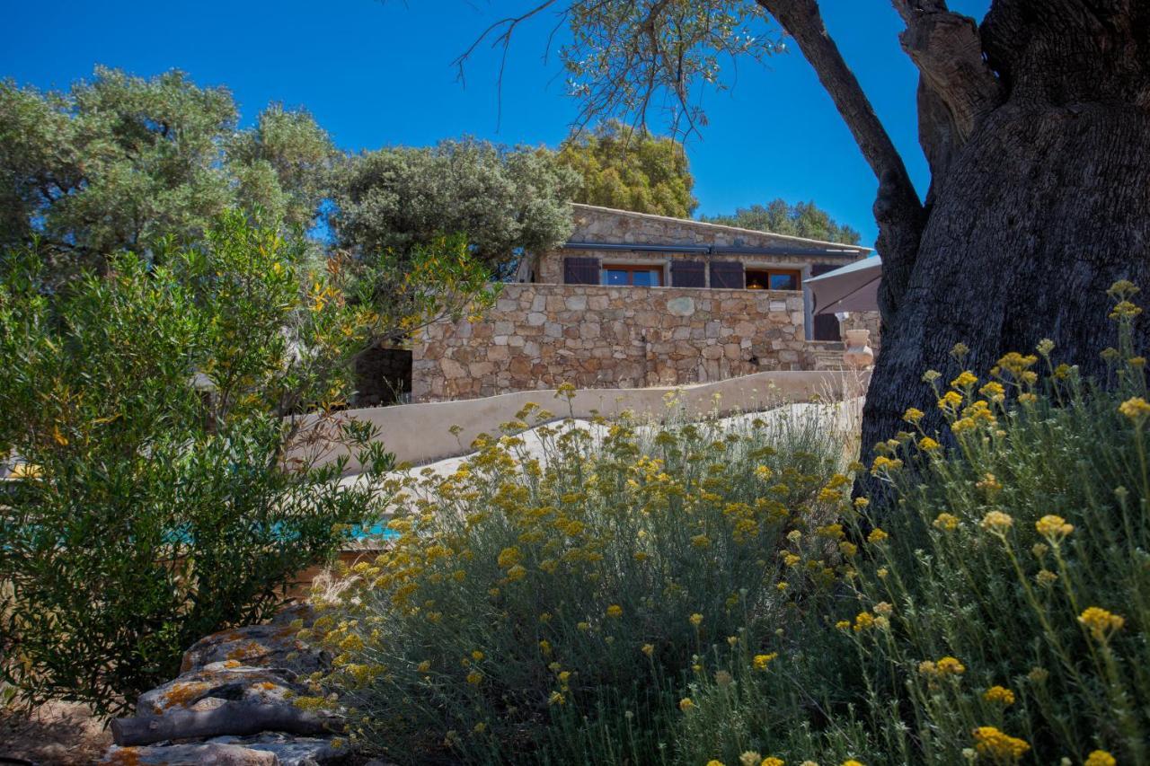 Villa bodri, maison en pierre avec vue mer et piscine chauffée LʼÎle-Rousse Exterior foto