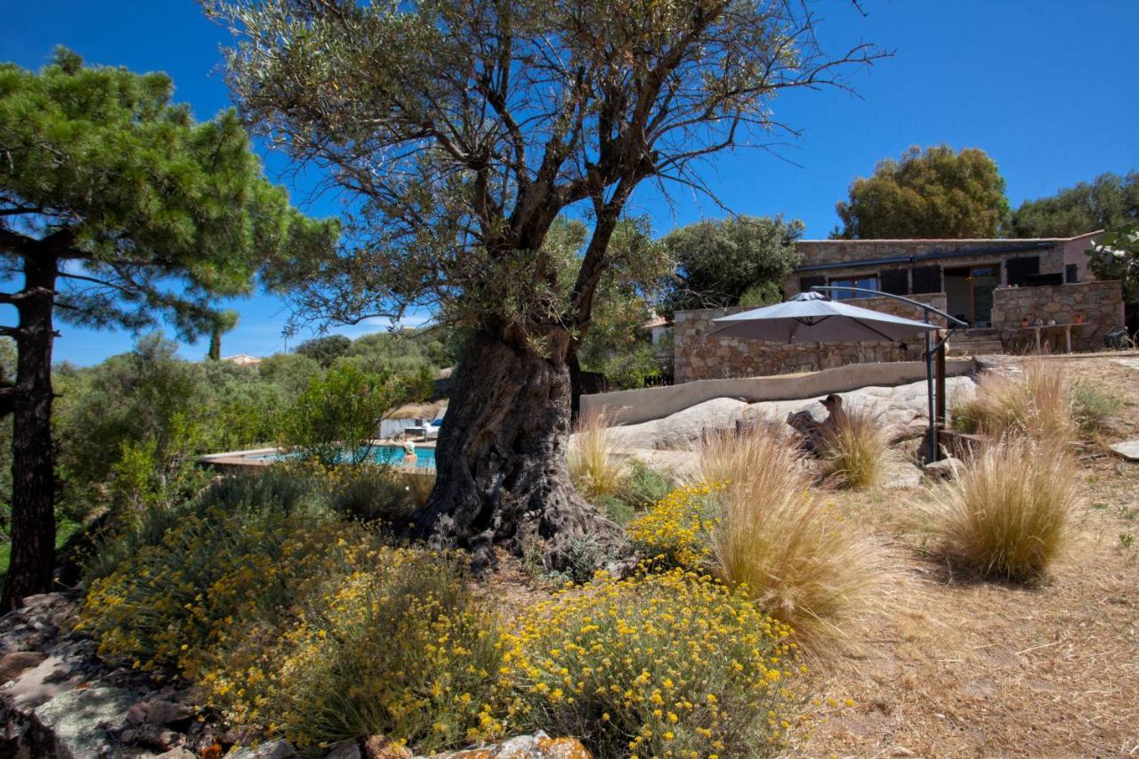 Villa bodri, maison en pierre avec vue mer et piscine chauffée LʼÎle-Rousse Exterior foto